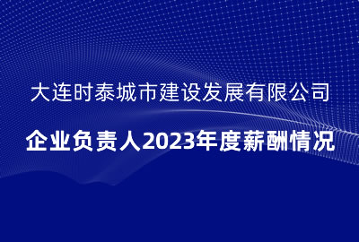 大連時(shí)泰城市建設(shè)發(fā)展有限公司 企業(yè)負(fù)責(zé)人2023年度薪酬情況